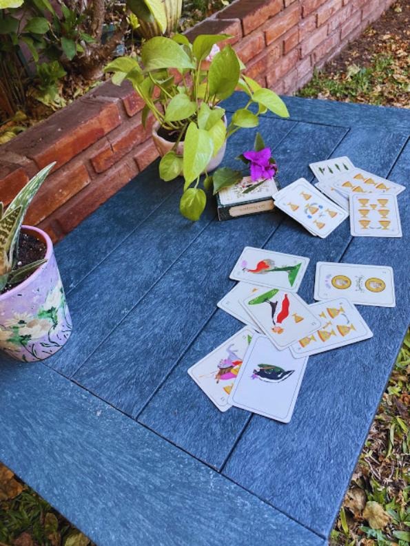 Mesa ratona con cartas y plantas