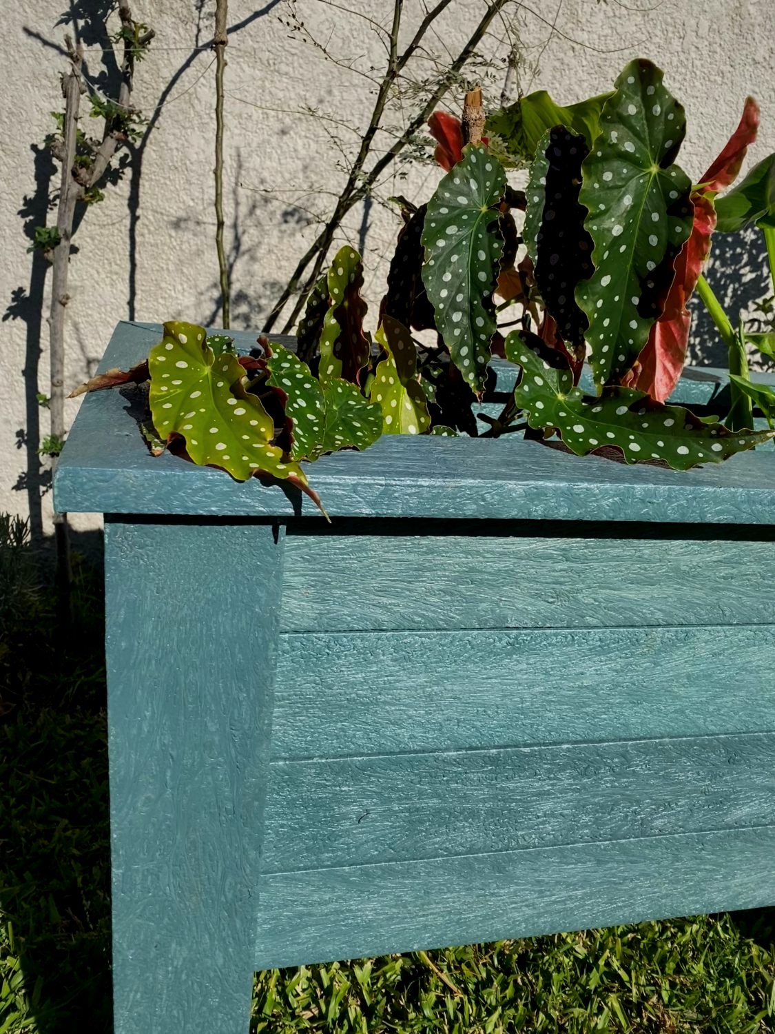 Detalle de la madera plástica con begonias