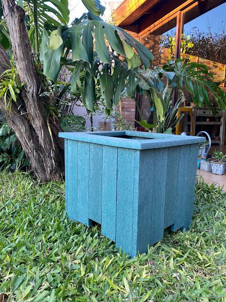 Macetero verde azulado con oreja de elefante en el patio